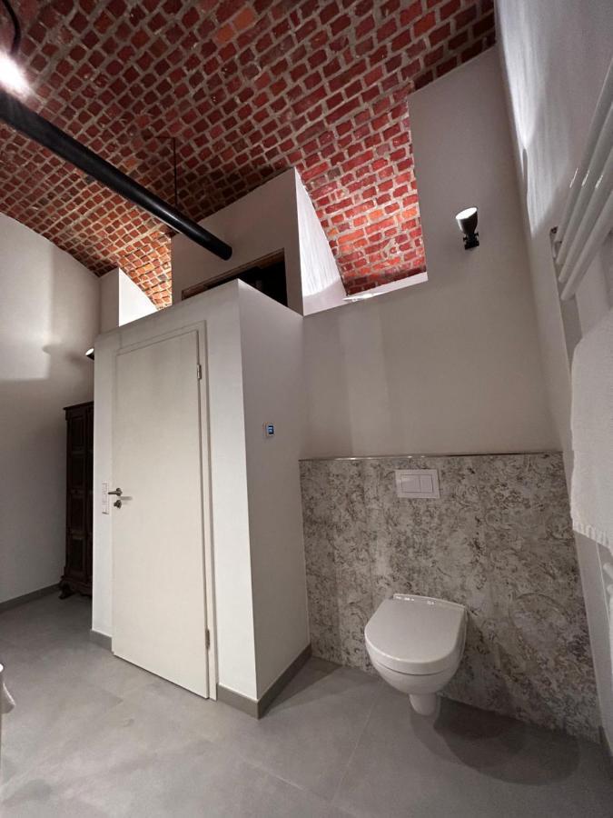 Historical Luxury Homes - Luxus Familien Suite Freiburg im Breisgau Exterior photo