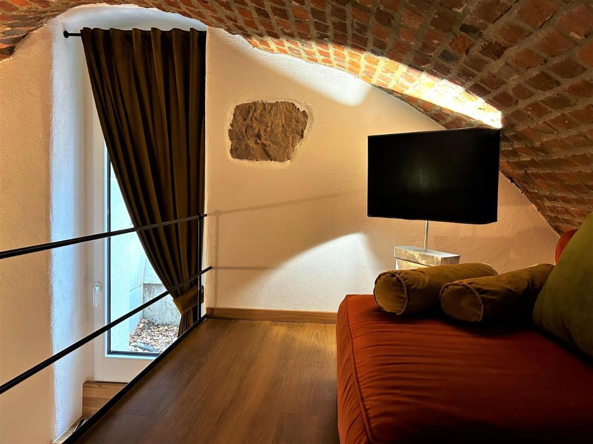 Historical Luxury Homes - Luxus Familien Suite Freiburg im Breisgau Exterior photo